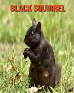 Bertrand.pt - Black Squirrel