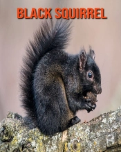 Black Squirrel