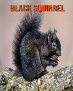 Bertrand.pt - Black Squirrel