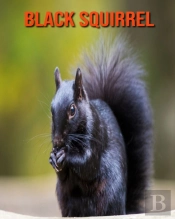 Black Squirrel