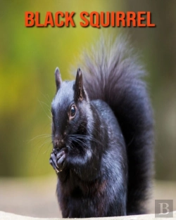 Bertrand.pt - Black Squirrel