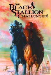 Black Stallion Challenged