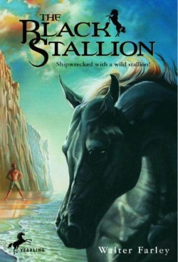 Bertrand.pt - Black Stallion Etalon Noir