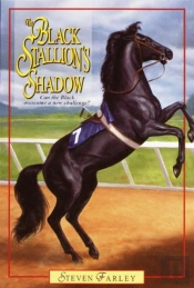 Black Stallion'S Shadow