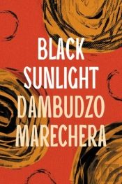 Black Sunlight