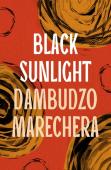 Black Sunlight