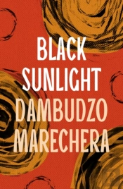 Black Sunlight