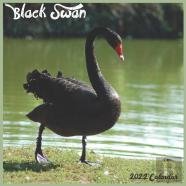 Black Swan 2022 Calendar