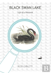 Black Swan Lake