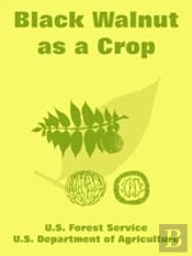 Black Walnut As A Crop
