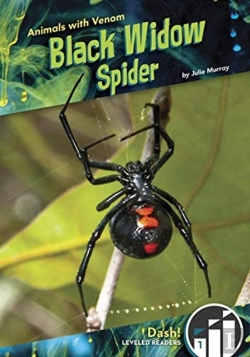 Bertrand.pt - Black Widow Spider