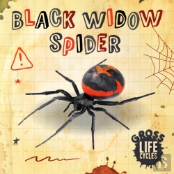 Bertrand.pt - Black Widow Spider