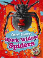 Black Widow Spiders
