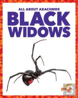 Black Widows