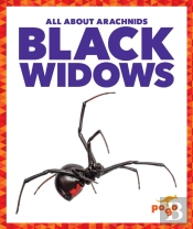 Black Widows