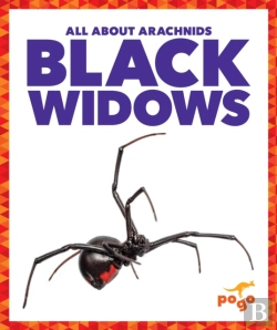 Bertrand.pt - Black Widows