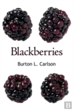 Bertrand.pt - Blackberries
