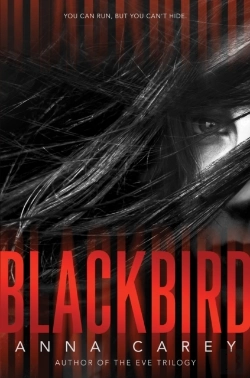 Bertrand.pt - Blackbird