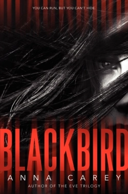 Bertrand.pt - Blackbird