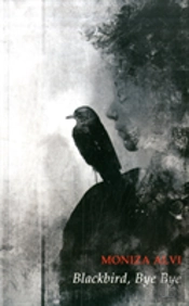 Blackbird, Bye Bye