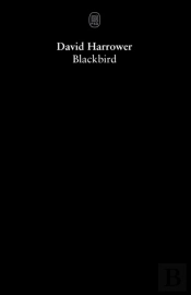 Blackbird