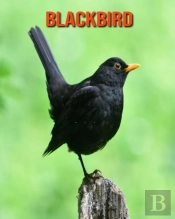 Blackbird