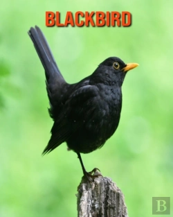 Bertrand.pt - Blackbird