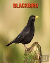 Blackbird