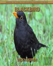 Blackbird