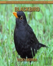 Blackbird