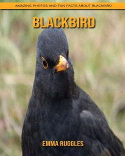 Bertrand.pt - Blackbird