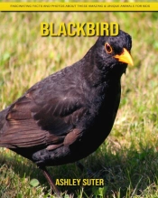 Blackbird