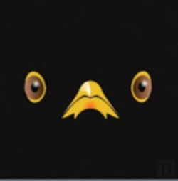 Bertrand.pt - Blackbird