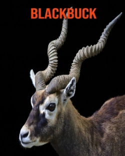Bertrand.pt - Blackbuck