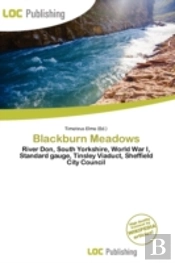 Blackburn Meadows