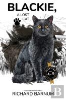 Blackie, A Lost Cat