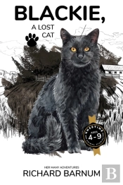 Blackie, A Lost Cat