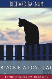 Blackie, A Lost Cat