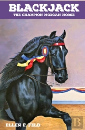 Blackjack: The Champion Morgan Horse