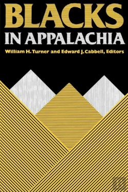 Bertrand.pt - Blacks In Appalachia