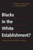Blacks In The White Establishment?