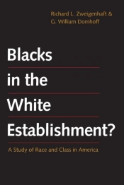 Blacks In The White Establishment?