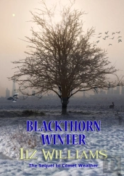 Blackthorn Winter