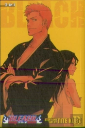 Bleach (2-In-1 Edition), Vol. 25