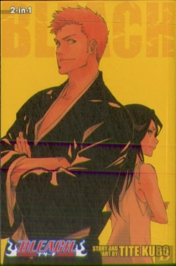 Bertrand.pt - Bleach (2-In-1 Edition), Vol. 25