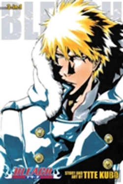 Bertrand.pt - Bleach (3-In-1 Edition), Vol. 17