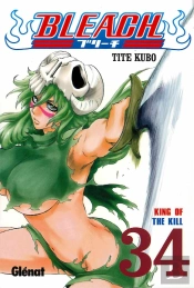 Bleach 34