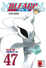 Bleach 47