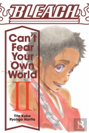 Bleach: Can'T Fear Your Own World, Vol. 2