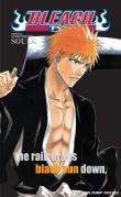 Bleach Souls. Official Character Book
